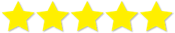 star5_brainbild